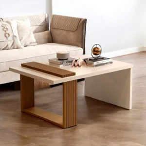 Contemporary Minimalist Coffee Table – Dual-Tone Modern Design with Decorative Wood Accent