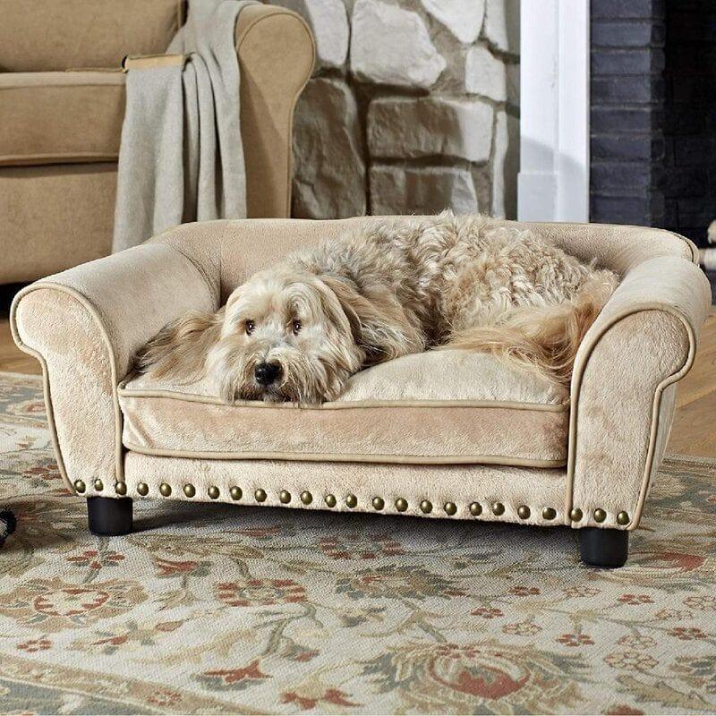 Dreamcatcher Dog Sofa in Teak Wood with Upholstery Luxury Designer Durable & Comfortable Pet Bed for Dogs